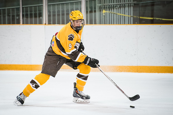hockey_2016-02-17_wkl_8640