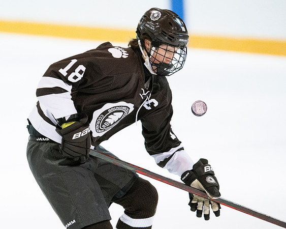 hockey_2022-01-15_dburns2_5266