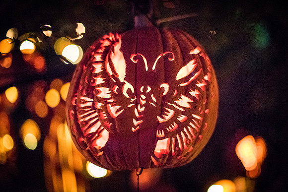 pumpkinblaze_wkl_3366