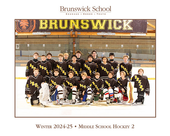 team_winter2425_hockey_ms2