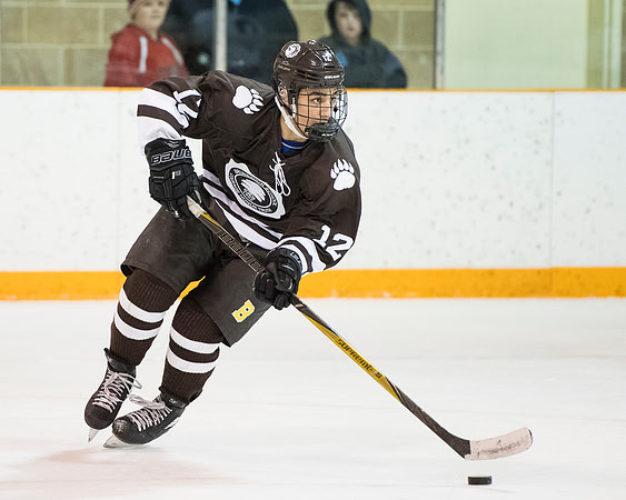 hockey_2018-02-09_db_9366