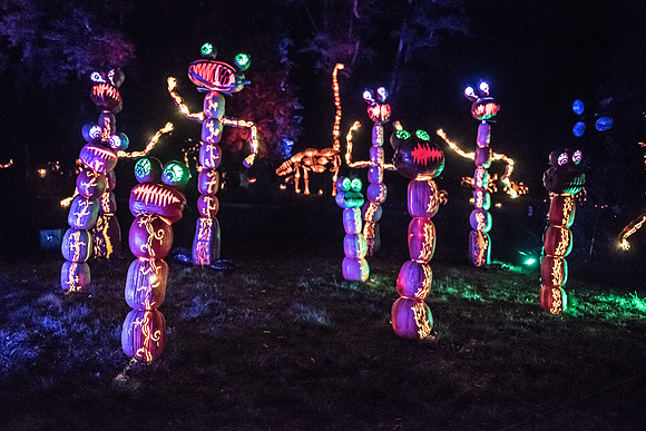 pumpkinblaze_hp_8394