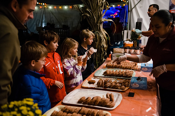 pumpkinblaze16_hp_9179