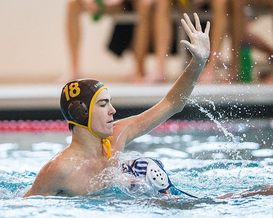 hc16_waterpolo_db_4384