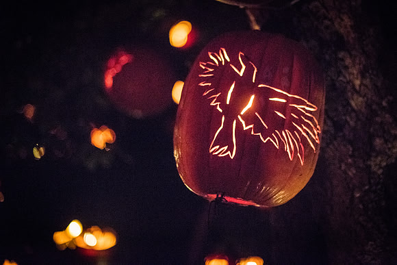 pumpkinblaze_wkl_3334