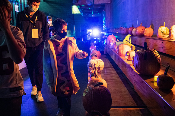 pumpkinparade_psls_wkl_4316