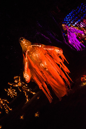 pumpkinblaze16_hp_9312