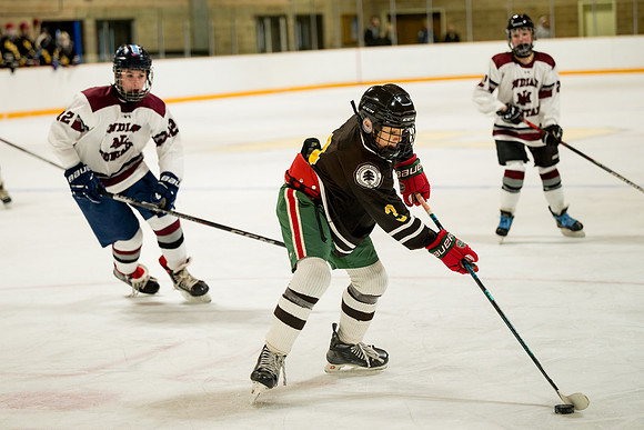 hockey_ms2_2025-01-29_ah_0085