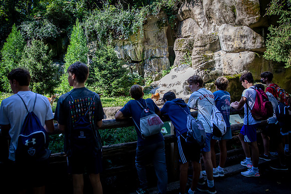classtrip21_bronxzoo_gr9_jfess_9963