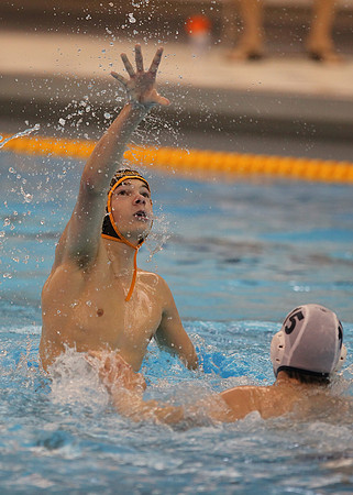 waterpolo_tmnt_mlorenz_0081