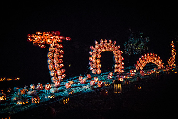 pumpkinblaze_wkl_3441