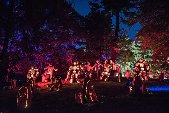 pumpkinblaze_hp_8227