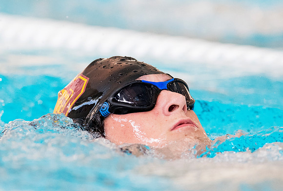 swimming_db_1507