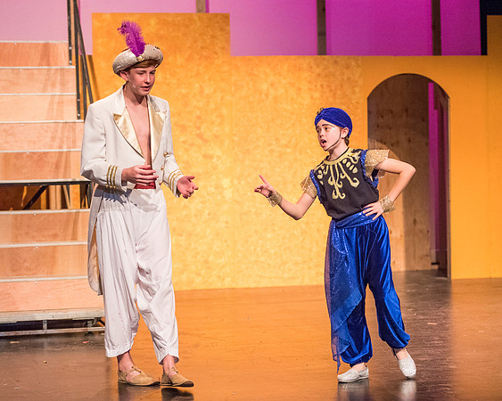 aladdinjr_ms_db_3985