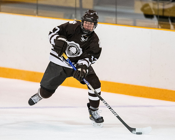 hockey_2022-01-15_dburns2_5210