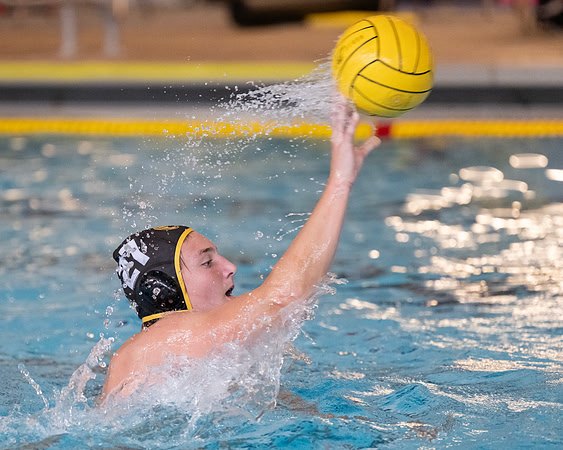 waterpolo_ms_2024-09-24_dburns_4608