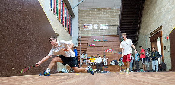 squash_db_3683