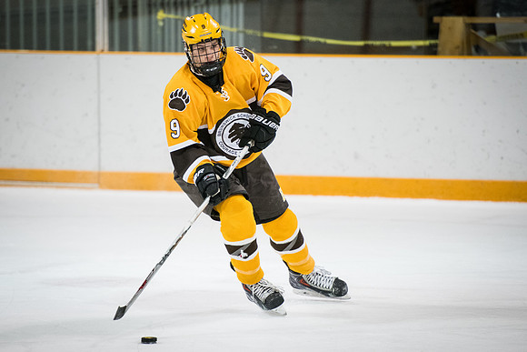 hockey_2016-02-17_wkl_8642