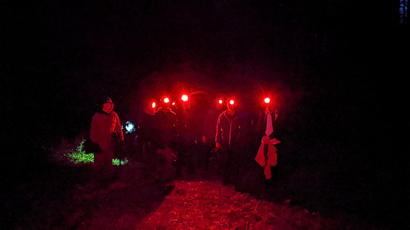 randolphvt_trip03_submitted_ddych_20201003_230240339.NIGHT