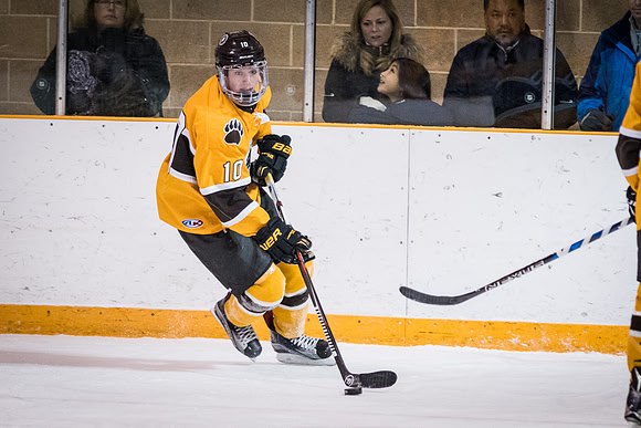 hockey_2017-02-10_wkl_2654