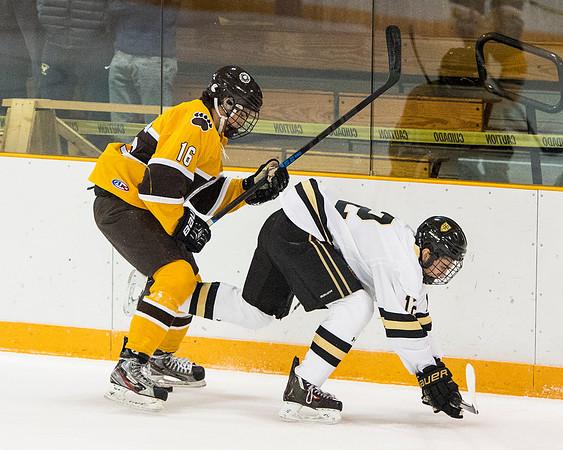 hockey_2016-12-10_dburns_6143