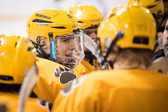 hockey_2016-02-17_wkl_8616