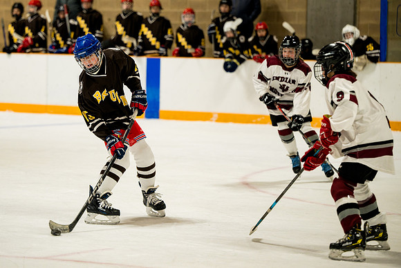 hockey_ms2_2025-01-29_ah_0031