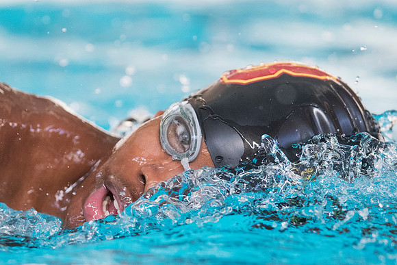 swimming_db_1514