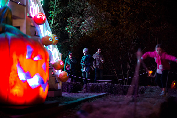 pumpkinblaze19_mkras_0066