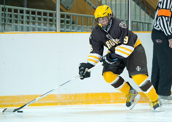 hockey_db_6073