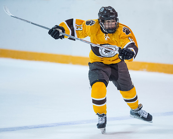 hockey_2016-12-10_dburns_2435