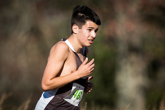 crosscountry_2017-10-31_faachamps_wkl_5194