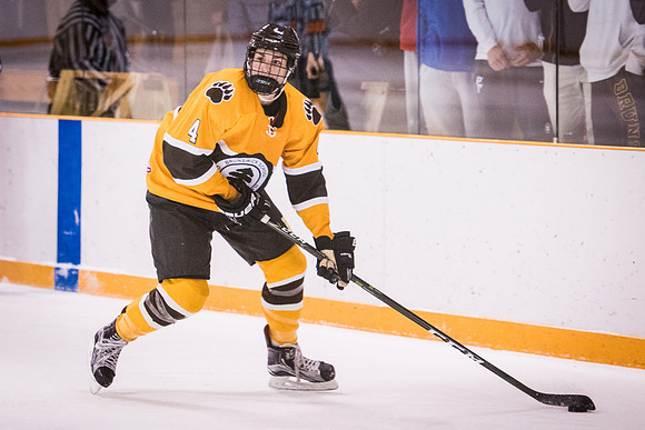 hockey_2017-02-10_wkl_3405