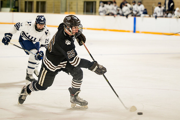 hockey_2025-01-18_ah_0199
