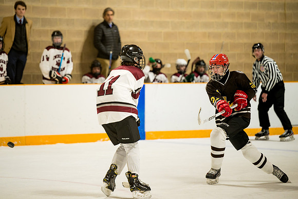 hockey_ms2_2025-01-29_ah_0102