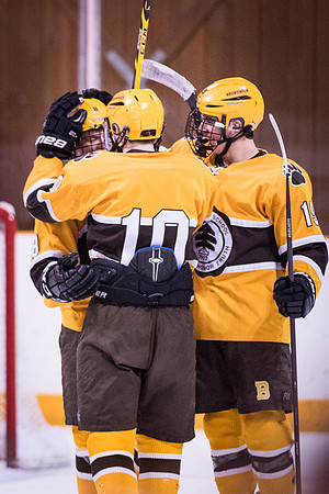 hockey_2016-02-17_wkl_8598