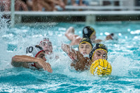 Water Polo, Varsity (A vs Greenwich HS B, Cardinal Tournament)