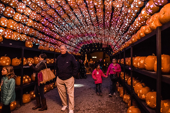 pumpkinblaze16_hp_9273