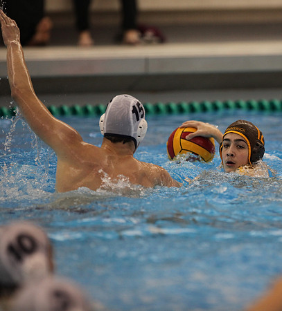 waterpolo_tmnt_mlorenz_0055
