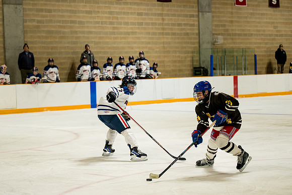 hockey_ms1_2025-02-03_ah_0043