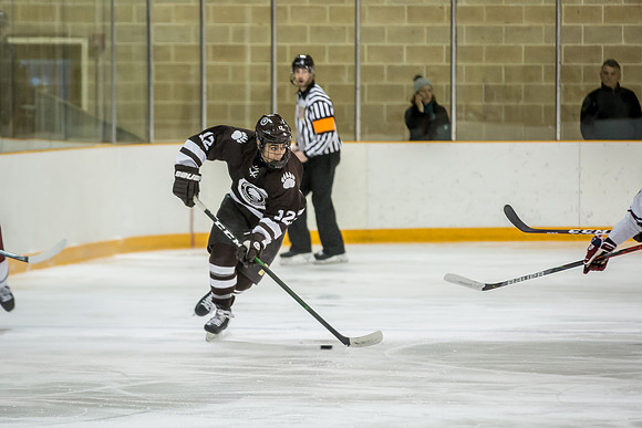 hockey_2020-01-09_jfess_1378