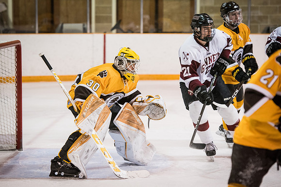 hockey_2017-02-10_wkl_2953