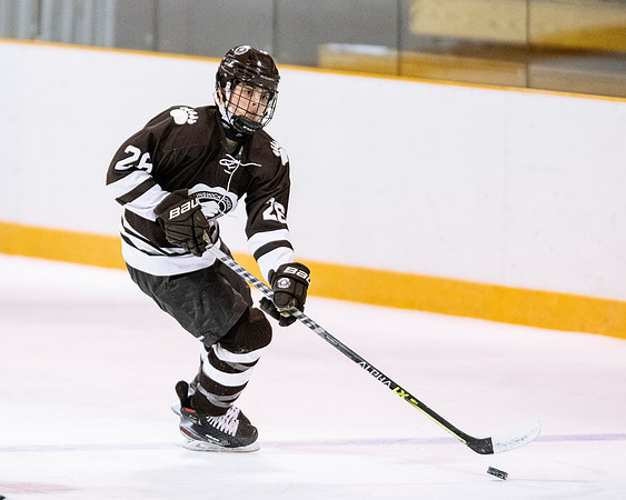 hockey_2022-01-15_dburns2_5201