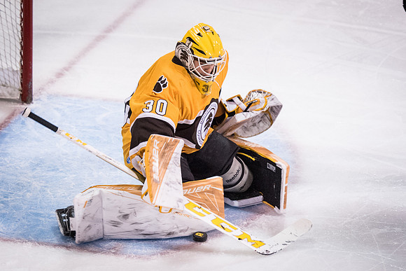 hockey_2017-02-10_wkl_2844