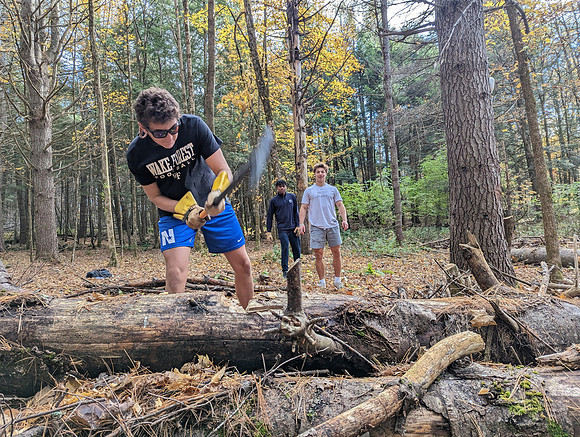 randolphvt2223_trip03_submitted_ddych_192124943