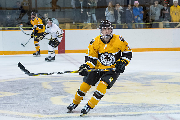 hockey_2016-12-10_dburns_6519
