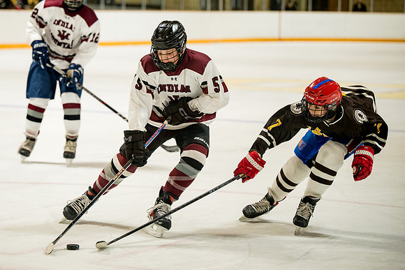 hockey_ms2_2025-01-29_ah_0118