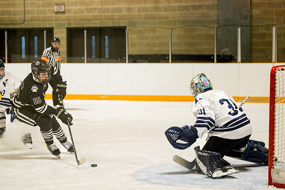 hockey_2025-01-18_ah_0224