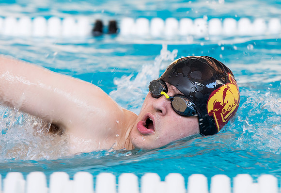 swimming_db_0358