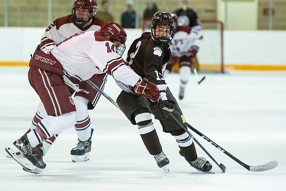 hockey_2020-01-09_dburns_7140